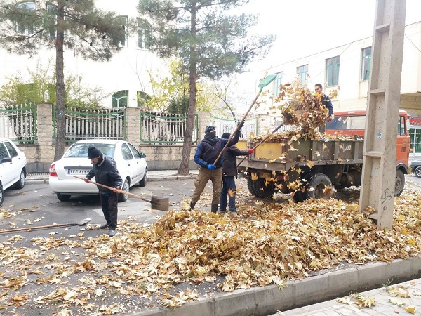 استمرار عملیات جمع آوری برگهای پاییزی در شهر ملایر
