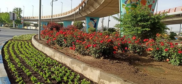 25 خردادماه، روز جهانی گل و گیاه